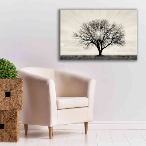 Image of 'Grow in Different Directions' by Lori Deiter, Canvas Wall Art,40 x 26