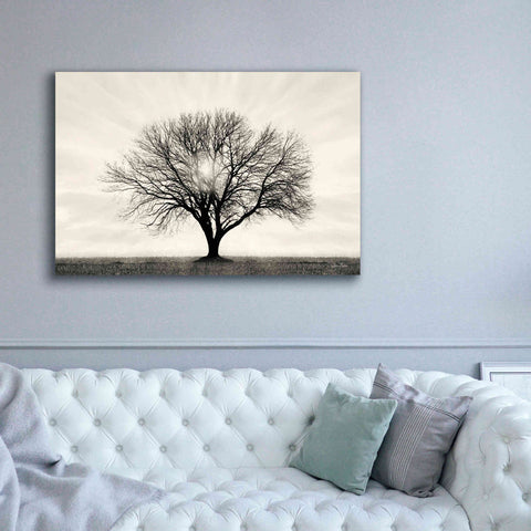 Image of 'Grow in Different Directions' by Lori Deiter, Canvas Wall Art,60 x 40