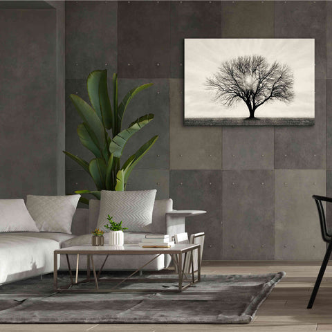 Image of 'Grow in Different Directions' by Lori Deiter, Canvas Wall Art,60 x 40