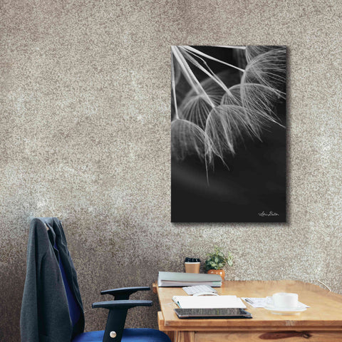 Image of 'Goatsbeard I' by Lori Deiter, Canvas Wall Art,26 x 40