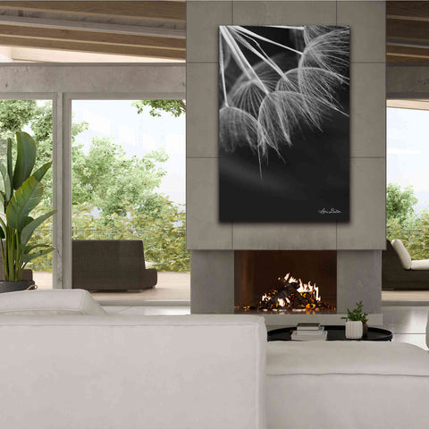 Image of 'Goatsbeard I' by Lori Deiter, Canvas Wall Art,40 x 60