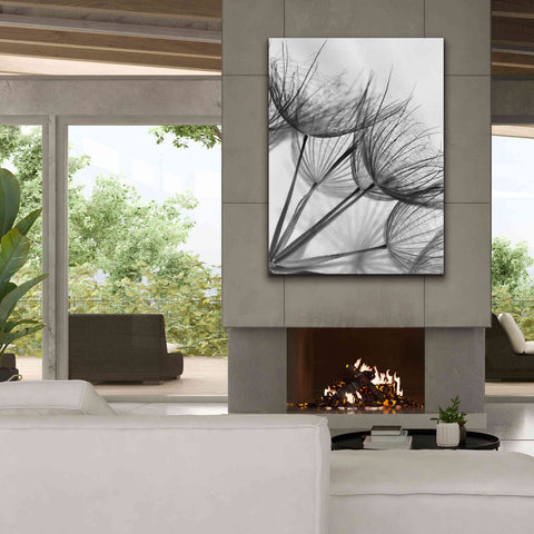 Image of 'Goatsbeard II' by Lori Deiter, Canvas Wall Art,40 x 54