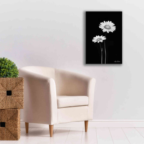 Image of 'Pair of Daisies' by Lori Deiter, Canvas Wall Art,18 x 26