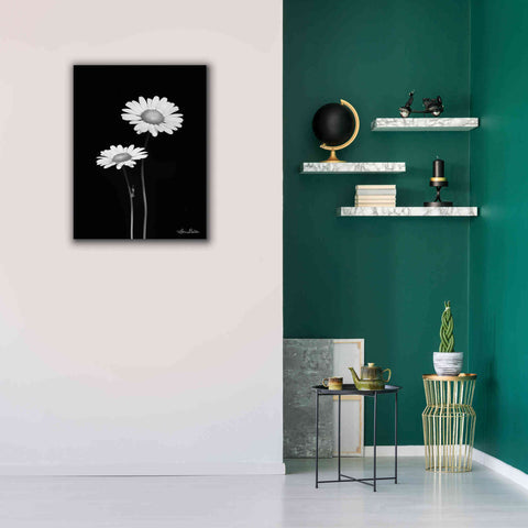 Image of 'Pair of Daisies' by Lori Deiter, Canvas Wall Art,26 x 34