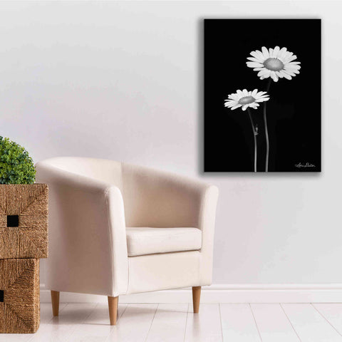 Image of 'Pair of Daisies' by Lori Deiter, Canvas Wall Art,26 x 34