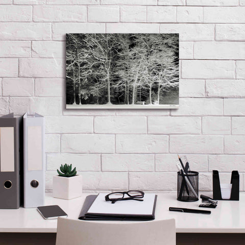 Image of 'Snowy Trees' by Lori Deiter, Canvas Wall Art,18 x 12