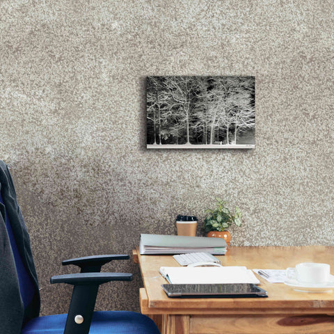 Image of 'Snowy Trees' by Lori Deiter, Canvas Wall Art,18 x 12