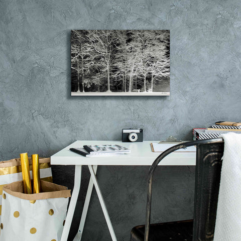Image of 'Snowy Trees' by Lori Deiter, Canvas Wall Art,18 x 12