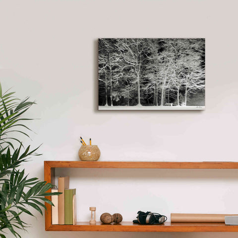 Image of 'Snowy Trees' by Lori Deiter, Canvas Wall Art,18 x 12