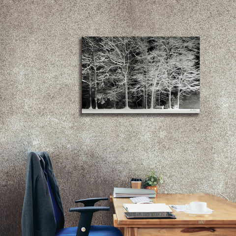 Image of 'Snowy Trees' by Lori Deiter, Canvas Wall Art,40 x 26