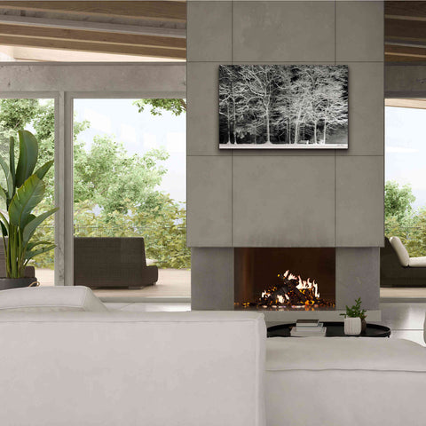 Image of 'Snowy Trees' by Lori Deiter, Canvas Wall Art,40 x 26