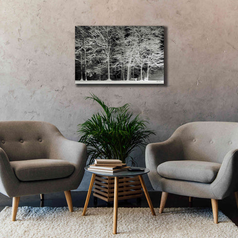 Image of 'Snowy Trees' by Lori Deiter, Canvas Wall Art,40 x 26