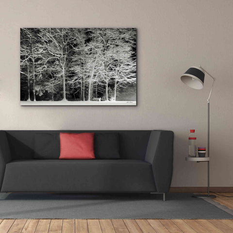 Image of 'Snowy Trees' by Lori Deiter, Canvas Wall Art,60 x 40