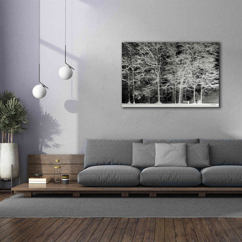 Image of 'Snowy Trees' by Lori Deiter, Canvas Wall Art,60 x 40