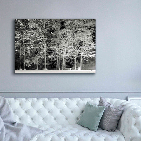 Image of 'Snowy Trees' by Lori Deiter, Canvas Wall Art,60 x 40