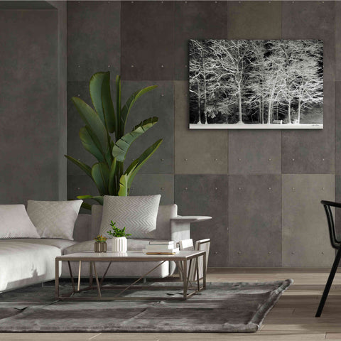 Image of 'Snowy Trees' by Lori Deiter, Canvas Wall Art,60 x 40