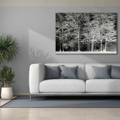 Image of 'Snowy Trees' by Lori Deiter, Canvas Wall Art,60 x 40