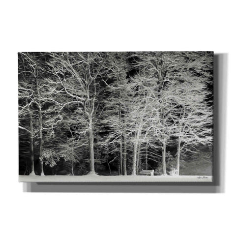 Image of 'Snowy Trees' by Lori Deiter, Canvas Wall Art
