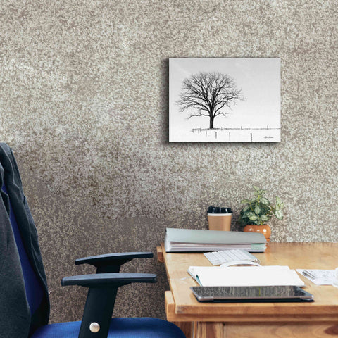 Image of 'Bare' by Lori Deiter, Canvas Wall Art,16 x 12