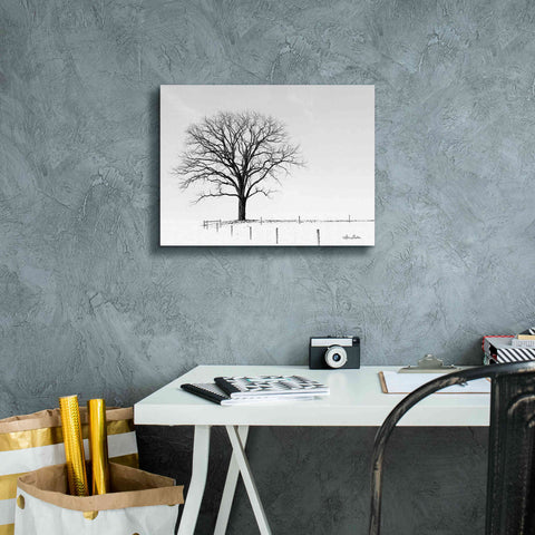 Image of 'Bare' by Lori Deiter, Canvas Wall Art,16 x 12