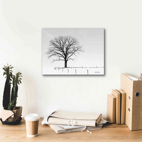 Image of 'Bare' by Lori Deiter, Canvas Wall Art,16 x 12