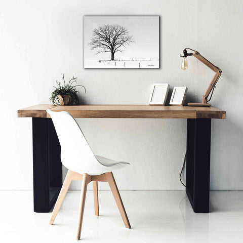 Image of 'Bare' by Lori Deiter, Canvas Wall Art,26 x 18