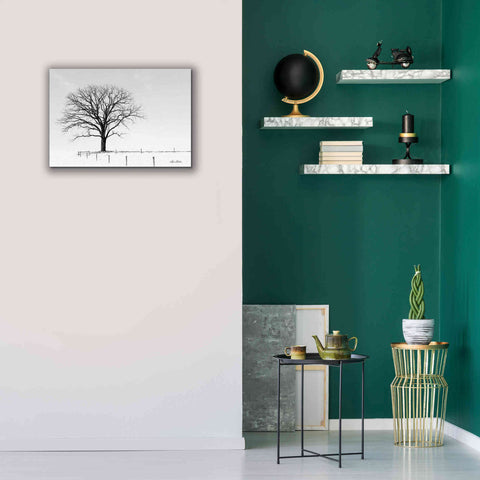 Image of 'Bare' by Lori Deiter, Canvas Wall Art,26 x 18