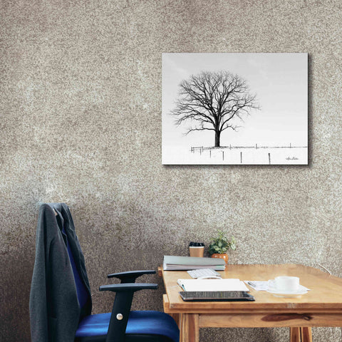 Image of 'Bare' by Lori Deiter, Canvas Wall Art,34 x 26