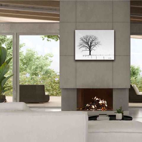 Image of 'Bare' by Lori Deiter, Canvas Wall Art,34 x 26