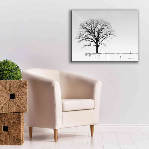 Image of 'Bare' by Lori Deiter, Canvas Wall Art,34 x 26