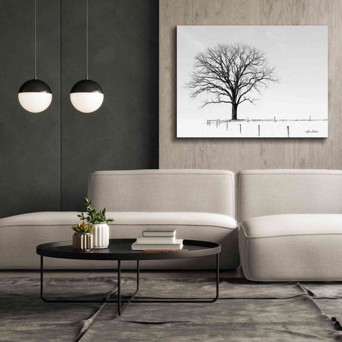 Image of 'Bare' by Lori Deiter, Canvas Wall Art,54 x 40