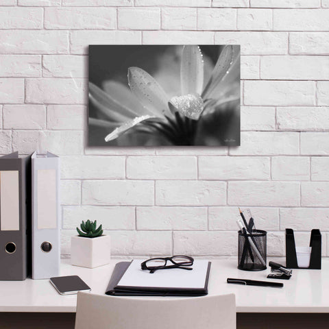 Image of 'Daisy' by Lori Deiter, Canvas Wall Art,18 x 12