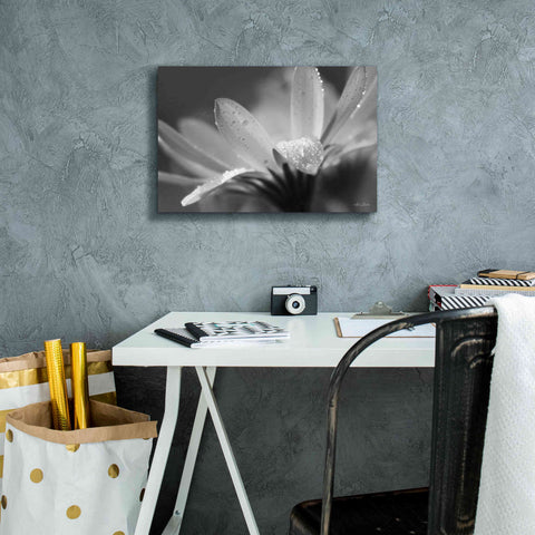 Image of 'Daisy' by Lori Deiter, Canvas Wall Art,18 x 12