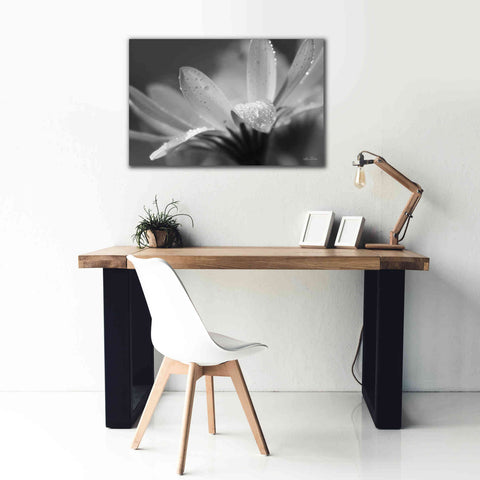 Image of 'Daisy' by Lori Deiter, Canvas Wall Art,40 x 26