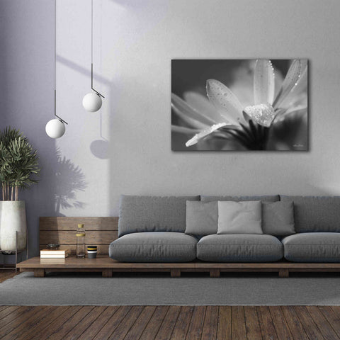 Image of 'Daisy' by Lori Deiter, Canvas Wall Art,60 x 40