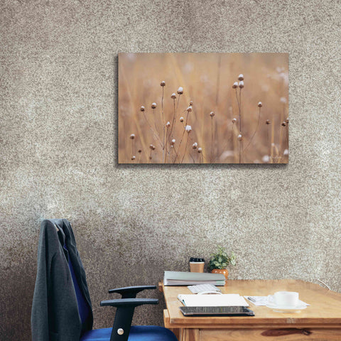 Image of 'Snow Capped Wildflowers' by Lori Deiter, Canvas Wall Art,40 x 26