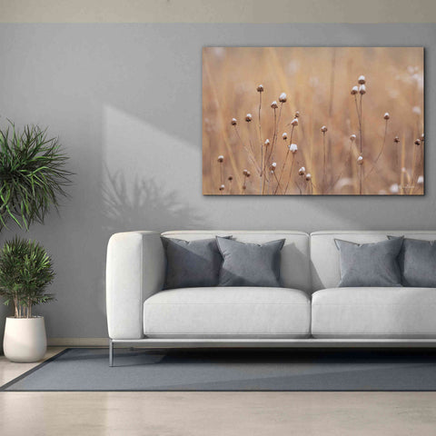 Image of 'Snow Capped Wildflowers' by Lori Deiter, Canvas Wall Art,60 x 40