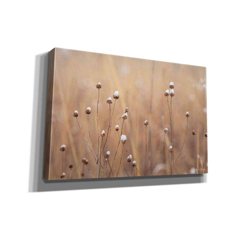Image of 'Snow Capped Wildflowers' by Lori Deiter, Canvas Wall Art