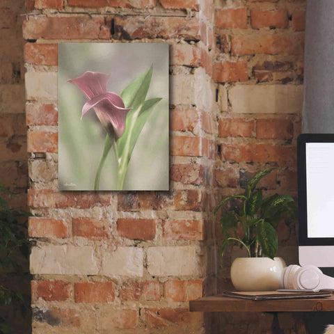 Image of 'Pink Calla Lily' by Lori Deiter, Canvas Wall Art,12 x 16