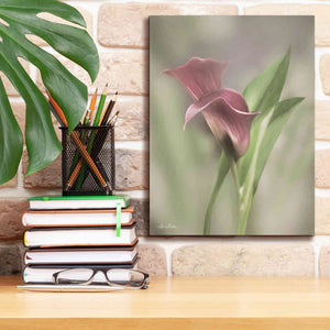 'Pink Calla Lily' by Lori Deiter, Canvas Wall Art,12 x 16