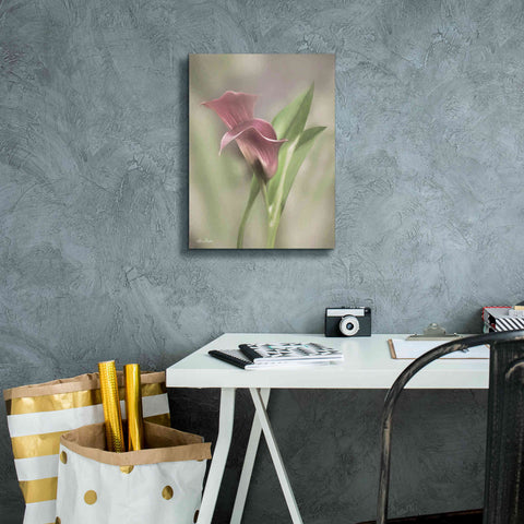 Image of 'Pink Calla Lily' by Lori Deiter, Canvas Wall Art,12 x 16