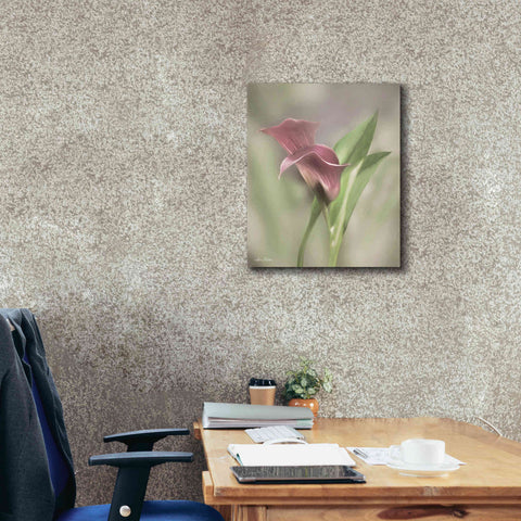 Image of 'Pink Calla Lily' by Lori Deiter, Canvas Wall Art,20 x 24