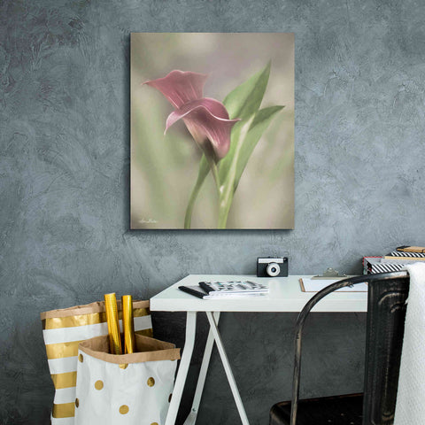 Image of 'Pink Calla Lily' by Lori Deiter, Canvas Wall Art,20 x 24