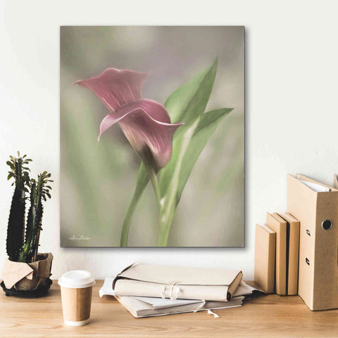 Image of 'Pink Calla Lily' by Lori Deiter, Canvas Wall Art,20 x 24