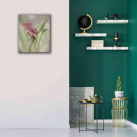 Image of 'Pink Calla Lily' by Lori Deiter, Canvas Wall Art,20 x 24