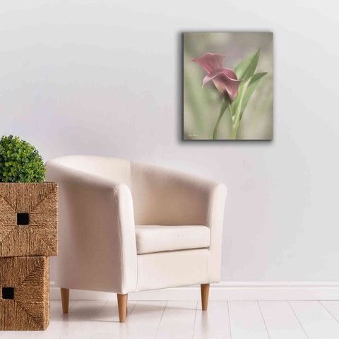 Image of 'Pink Calla Lily' by Lori Deiter, Canvas Wall Art,20 x 24