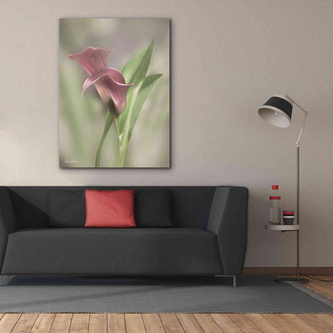 Image of 'Pink Calla Lily' by Lori Deiter, Canvas Wall Art,40 x 54