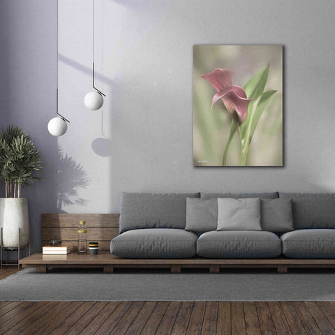 Image of 'Pink Calla Lily' by Lori Deiter, Canvas Wall Art,40 x 54
