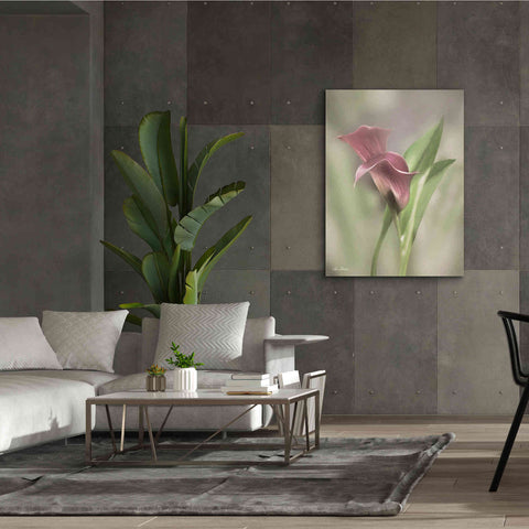 Image of 'Pink Calla Lily' by Lori Deiter, Canvas Wall Art,40 x 54