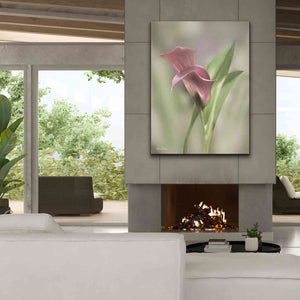 'Pink Calla Lily' by Lori Deiter, Canvas Wall Art,40 x 54